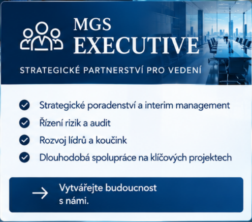MGS EXECUTIVE